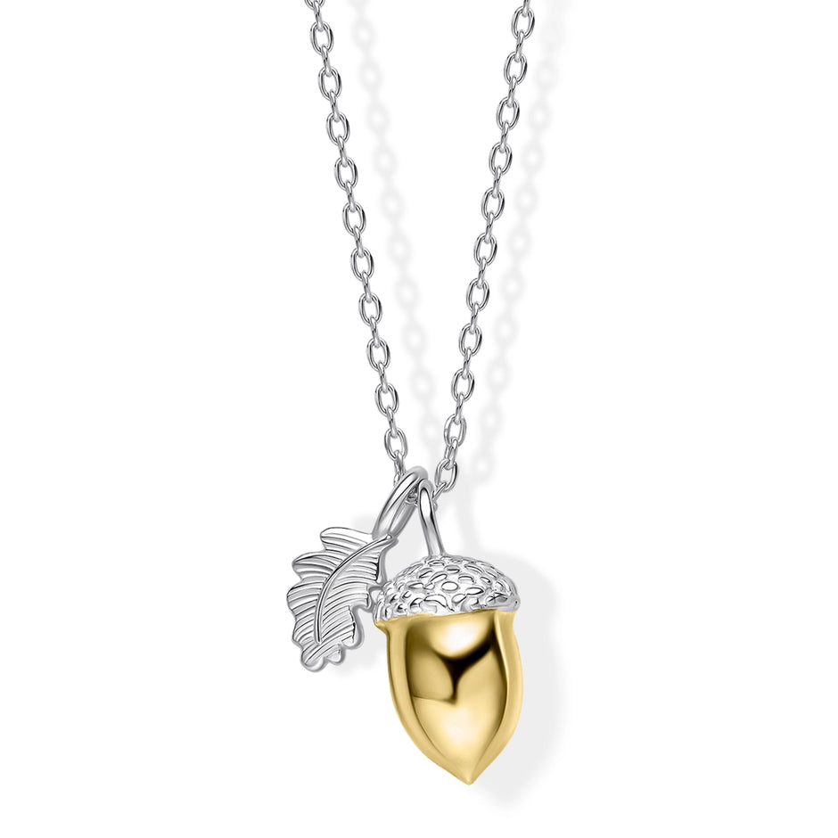 Laura Ashley Sterling Silver Broadoak Acorn Necklace