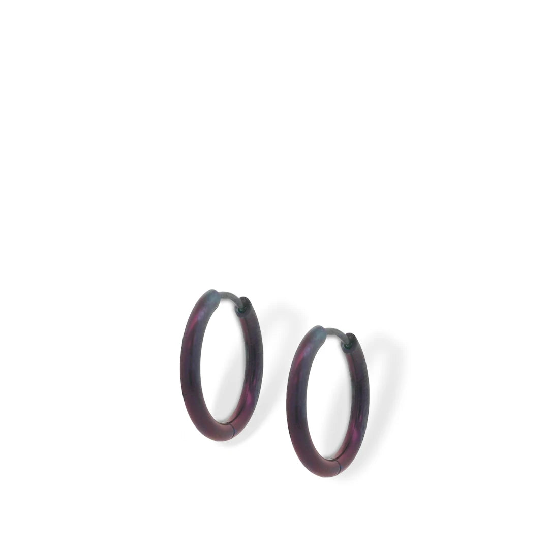 Orb Halo Medium Hinged Hoop Earrings