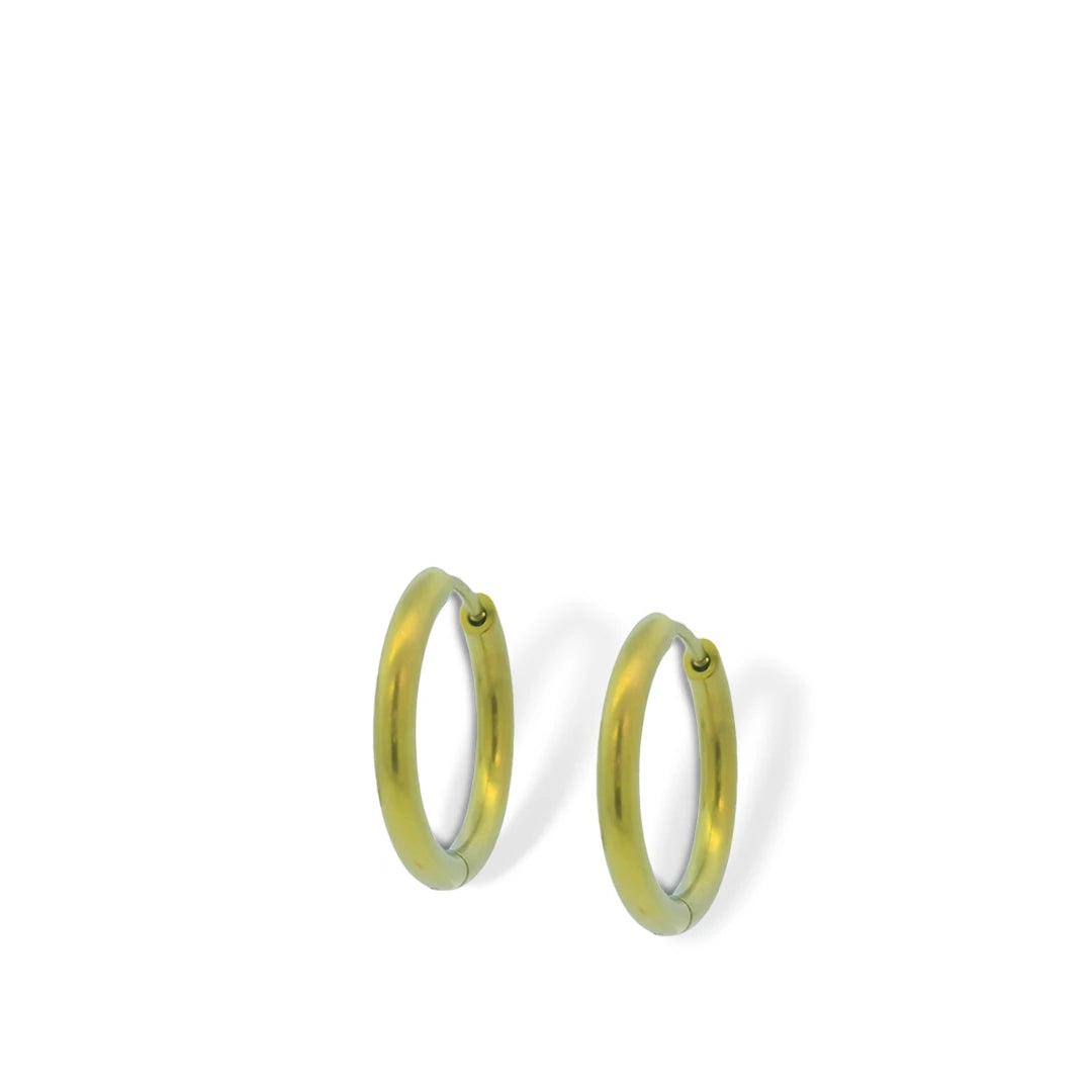 Orb Halo Medium Hinged Hoop Earrings